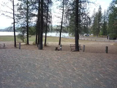 The photo shows a pine‑covered campground area with picnic tables and a fire ring overlooking a lake, with the boat launch and shoreline visible in the background.