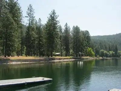 The photo shows a calm lakeshore lined with tall pines and a small dock in the foreground, with forested hills rising in the background.