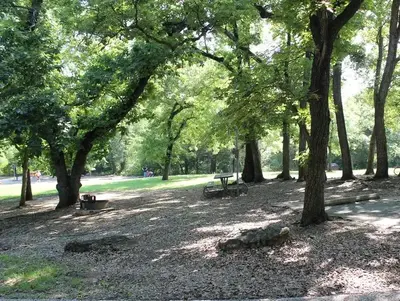 Central Group Campground  showing picnic table and trees and open space.