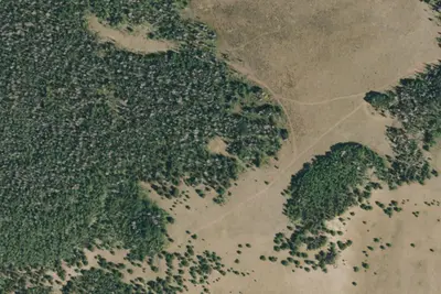 Camp site