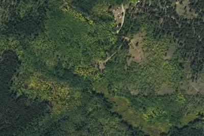 Camp site