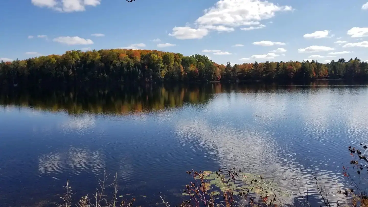 Ewing Point - McKeever Lake