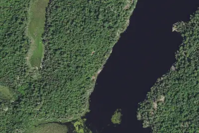 Camp site (Superior National Forest)