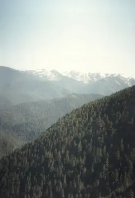 Riding up Hurricane Ridge (1650453070)