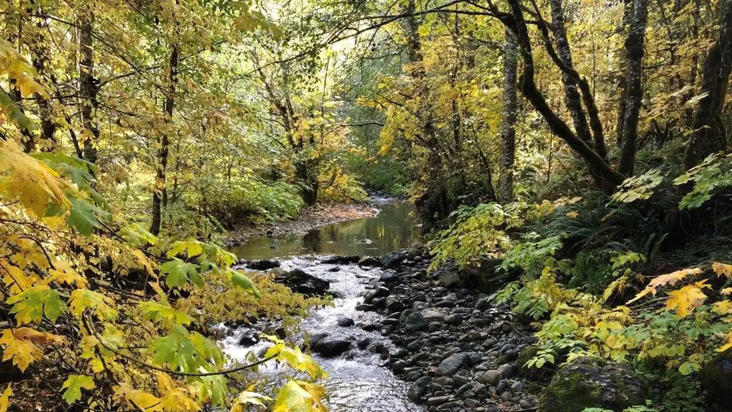 East Fork during the Fall