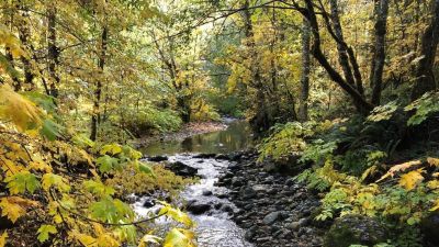 East Fork Campground