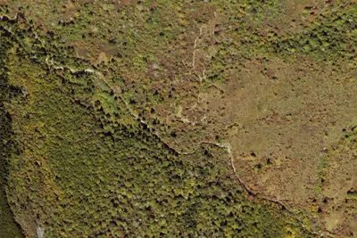 Camp site