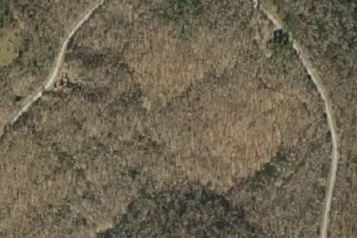 Deer Tower