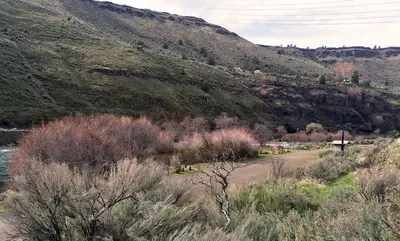 Deschutes Wild and Scenic River -- Oasis (26216141444)