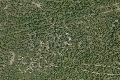 Cedar