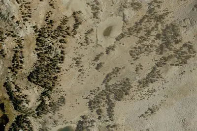 Camp site