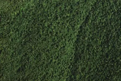 Camp site (NYSDEC)