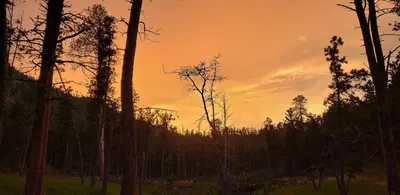 Black Hills Sunset