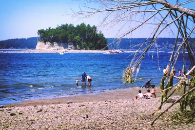Cutts Island from Kopachuck State Park beach