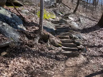 Mount Yonah Trail - panoramio (4)