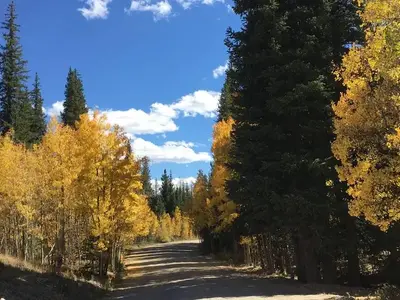 Aspen Campground