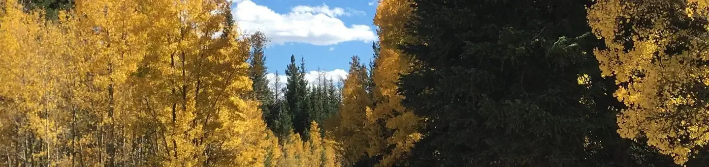 Aspen Campground