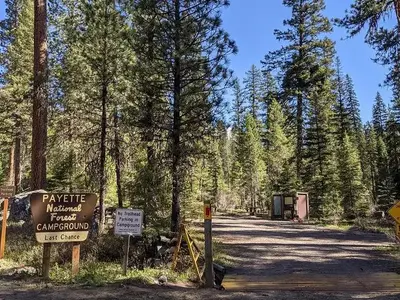 Entrance to Last Chance Campground with tall pine trees and entrance sign.