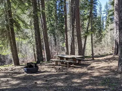 Forest campsite