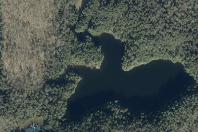 Camp site