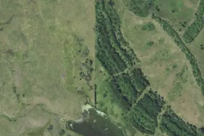 Camp site
