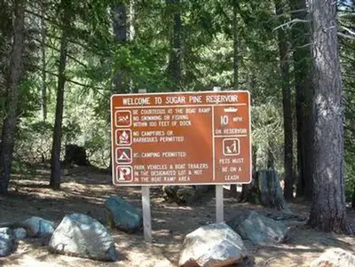Forbes Creek