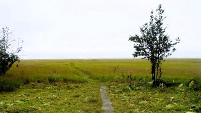 Koknuk Cabin