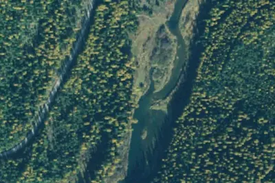 Whitetail Meadows