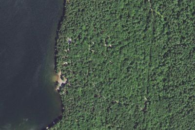 Buffalo Lake Campground