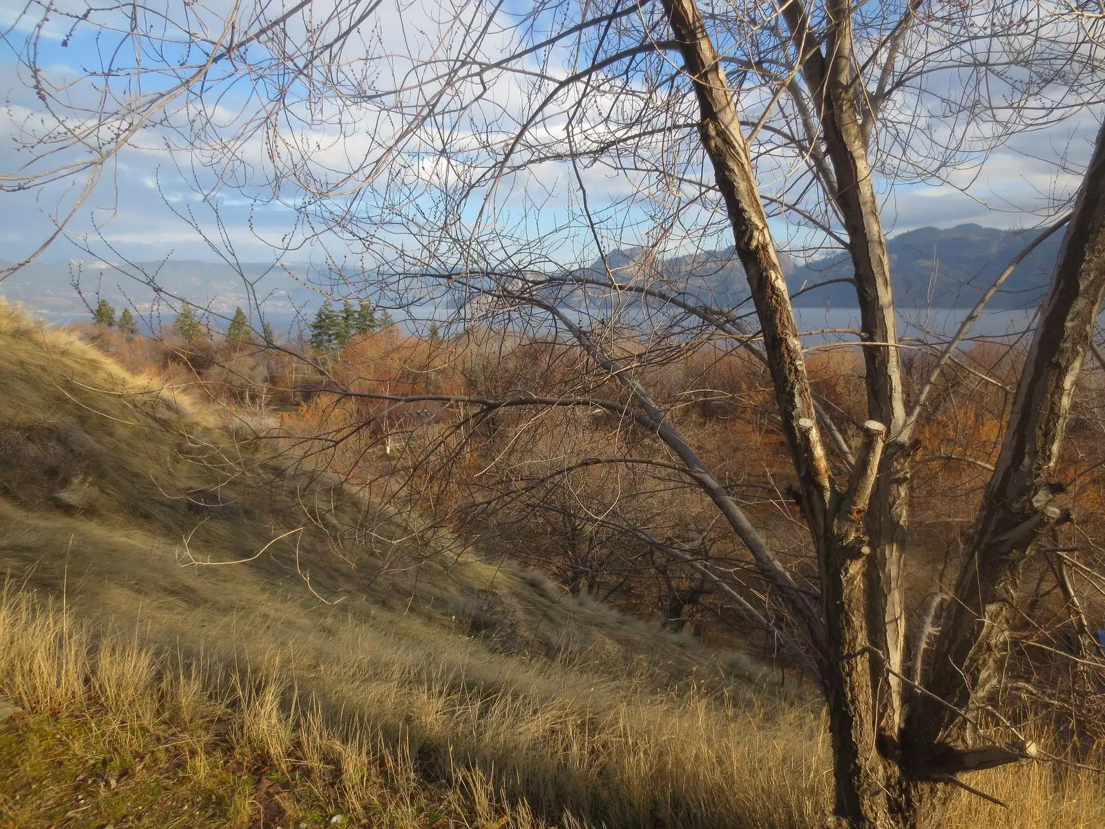 Photo of Okanagan Lake Park