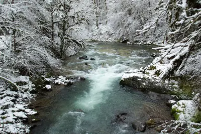 Fernview Recreation area in snow, Oregon (26633026458)