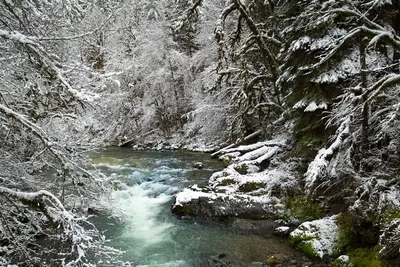 Fernview Recreation area, Oregon (26633042938)