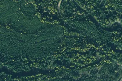 Rd 2332 Site 1