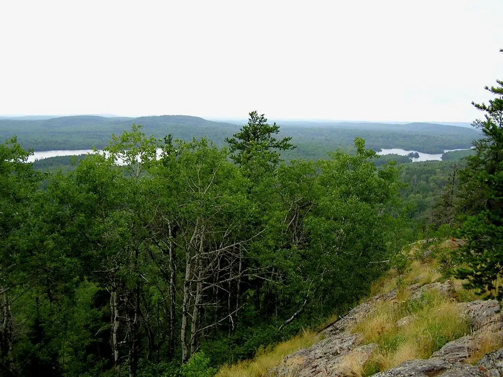 Photo of Superior National Forest