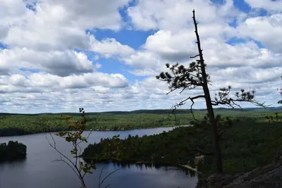 Coon Lake with tree in foreground