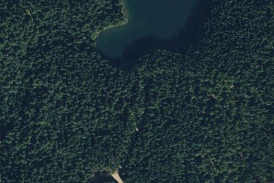 Council Lake Campground