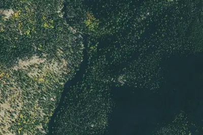 U.S. Forest Service Site 3