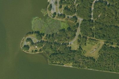 Camp site