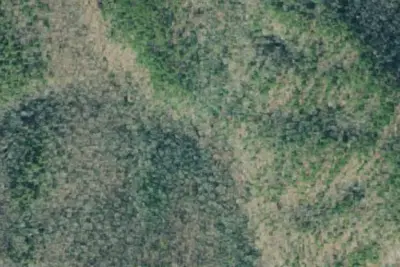 Camp site
