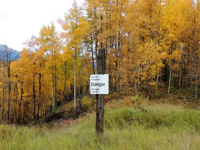 Alberta Autumn (29174441184)