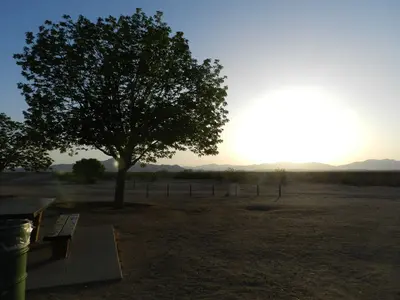 Mojave Rest Stop - Flickr - TheJudge310