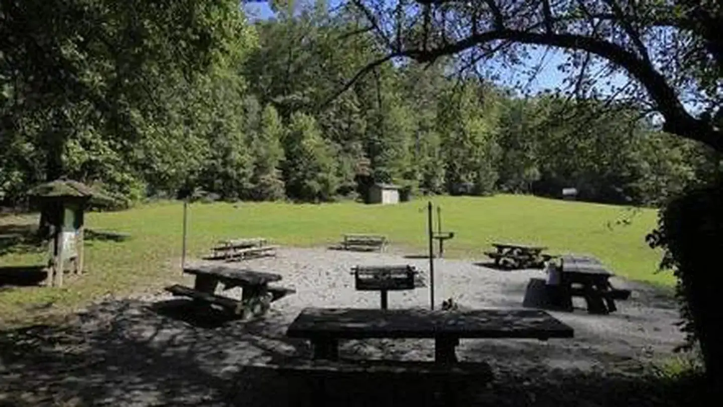 Lower Cove Creek Picnic Tables
