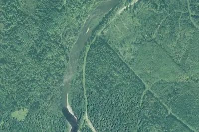 Camp site