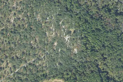 Camp site
