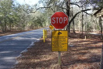 Sandhill Management Area sign, General Coffee State Park