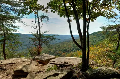 Martha's Overlook - panoramio
