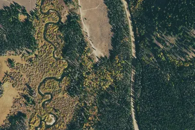 Camp site