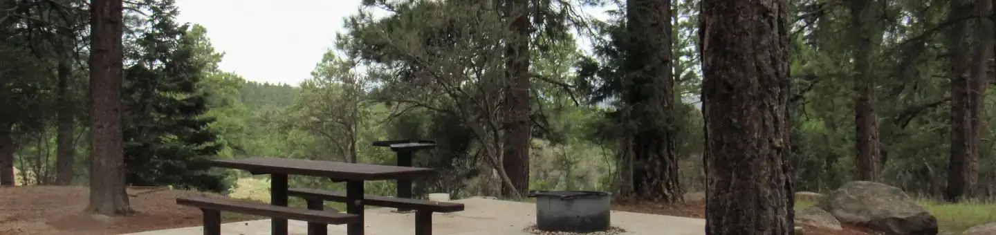 Crackfoot campground site 20
