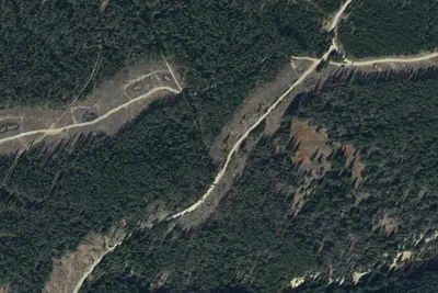 U.S. Forest Service Site 1