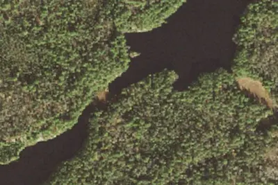 Camp site